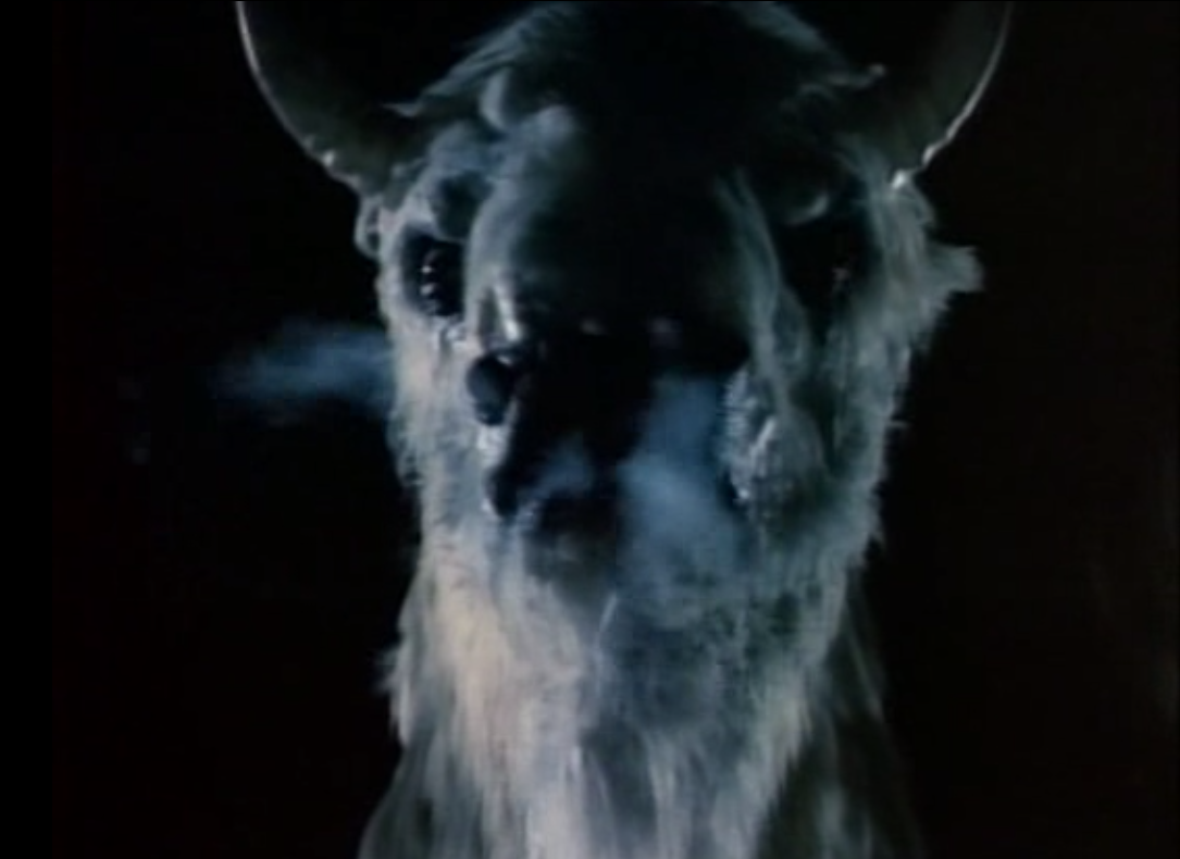 WhiteBuffalo2.PNG