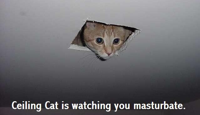 Ceiling_Cat_by_SleepySnitter.jpg