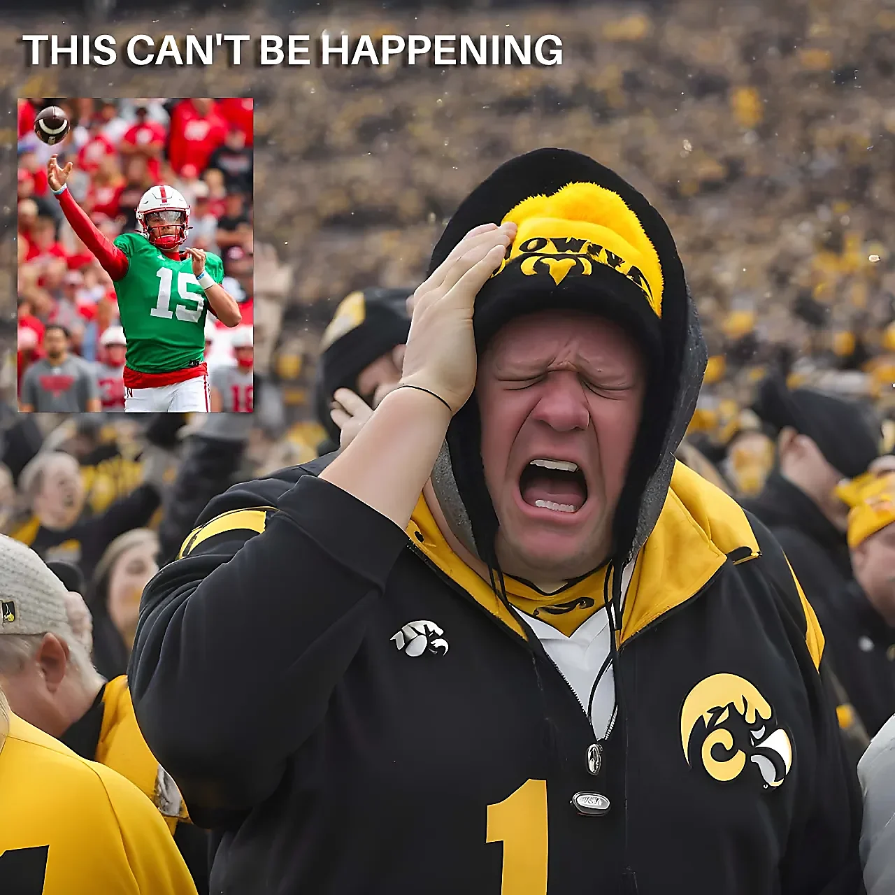 iowa_fan.webp