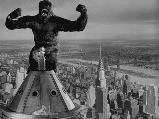 king-kong-beating-his-chest-on-top-of-building-jl87n11dolz7slvi.gif