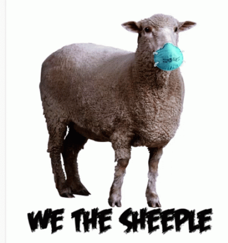 sheeple-mask.gif