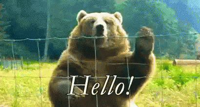 hello-bear-waving.gif