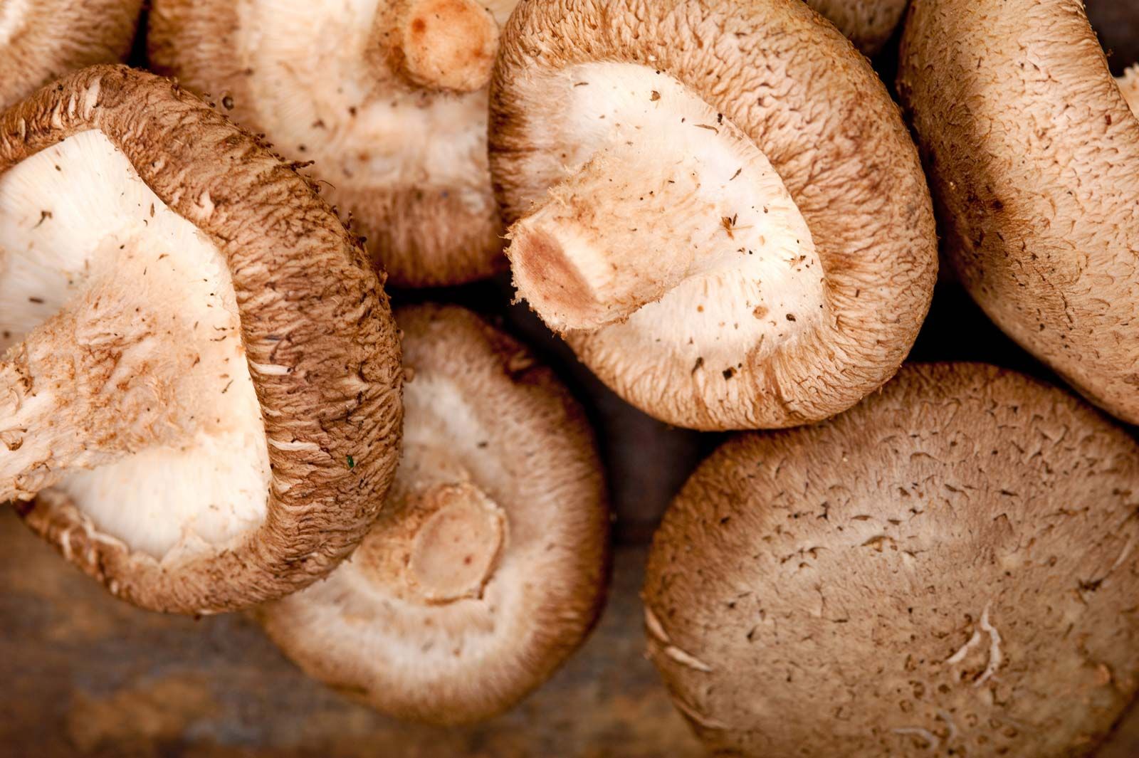 shiitake-mushrooms.jpg