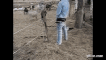 Electric Fence GIFs | Tenor