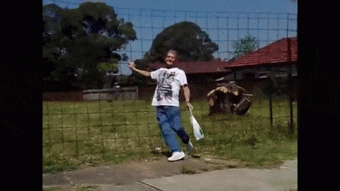 Aussie Drunk Man walk through fence animated gif