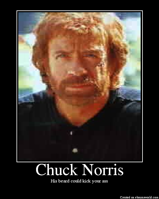 chuck-norris-chuck-norris-33161514-520-650.png