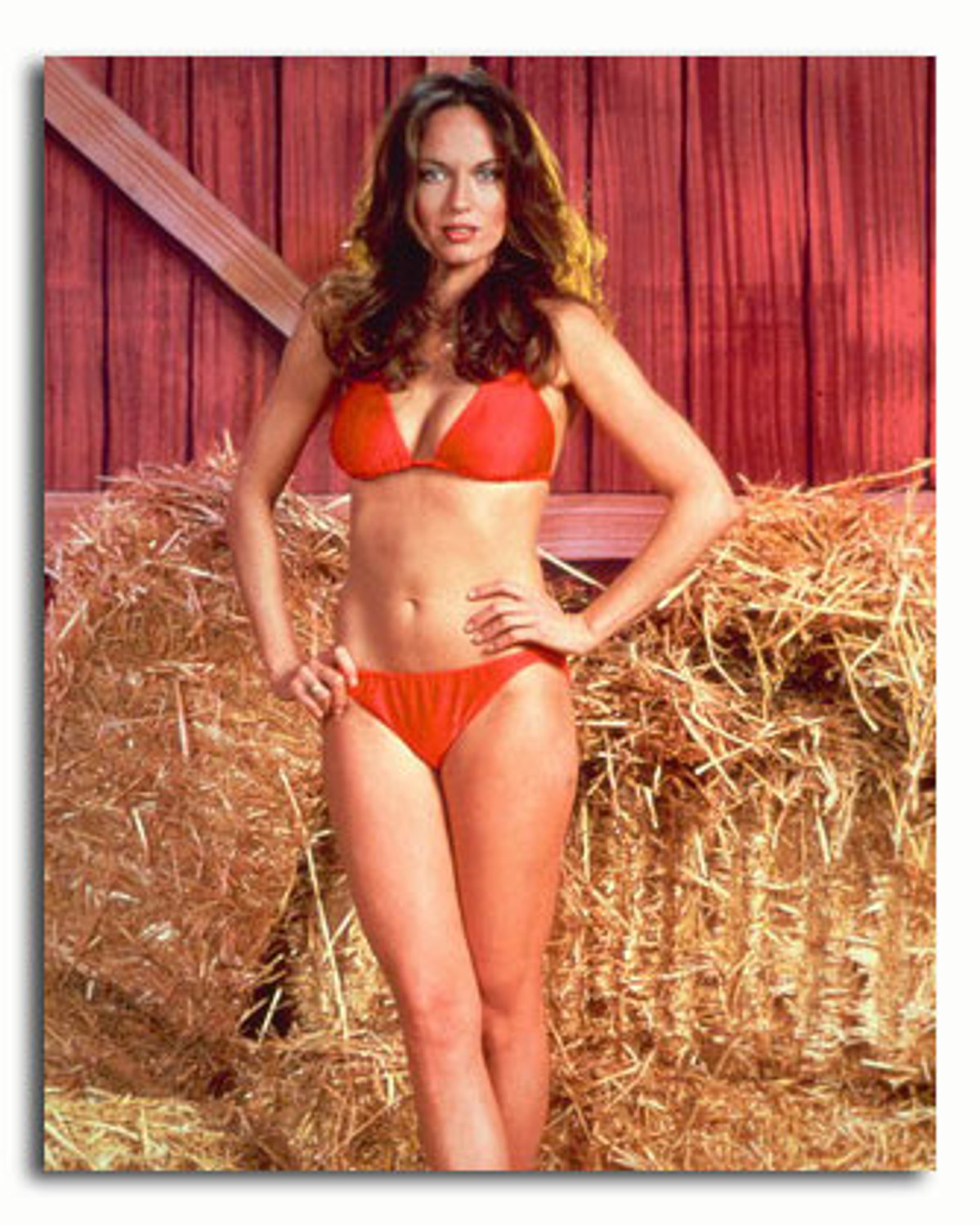 ss3431467_-_photograph_of_catherine_bach_as_daisy_duke_from_the_dukes_of_hazzard_available_in_4_sizes_framed_or_unframed_buy_now_at_starstills__41943__78786.1394500005.jpg