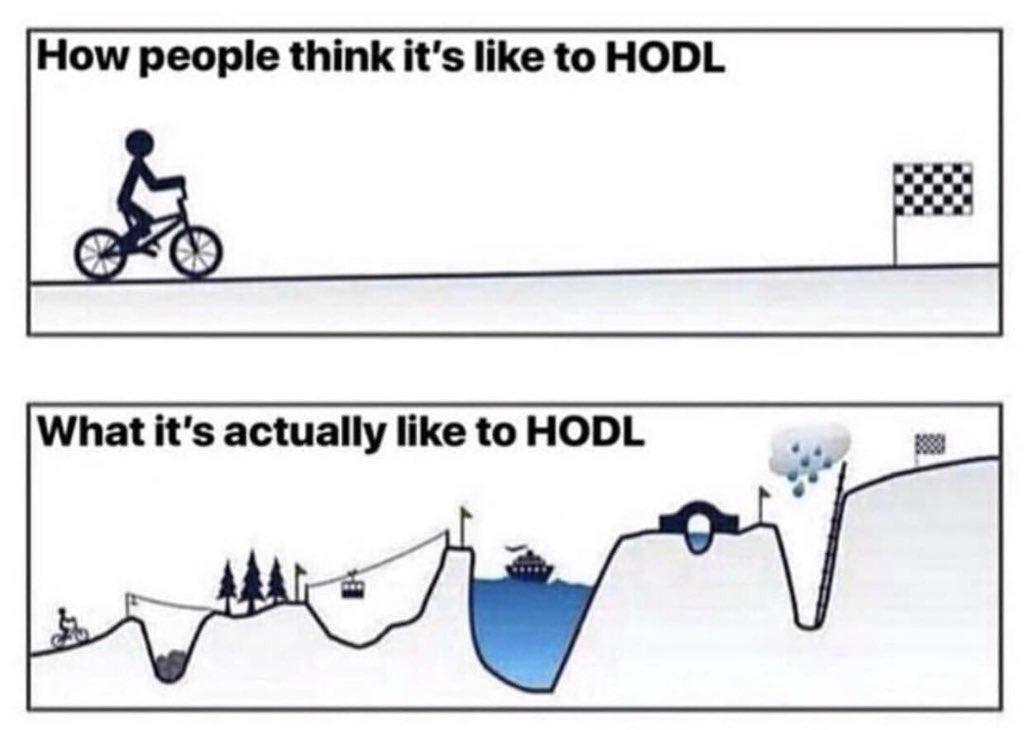 How-People-Think-Its-Like-To-HODL-vs-What-Its-Actually-Like-To-HODL-Crypto-Memes-1024x730.jpg