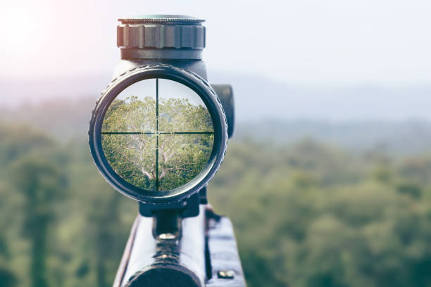 rifle-target-view-on-natural-background-image-of-a-rifle-scope-sight-picture-id1068153320