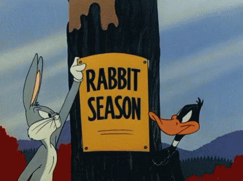 rabbit-season-duck-season-bugs-bunny-daffy-duck.gif