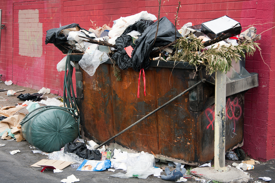 bigstock-Trash-Dumpster-In-Slums-25186703.jpg